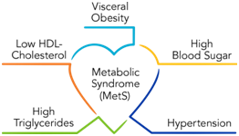 Metabolic syndrome heart disease